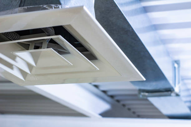 Best Local Air Duct Cleaning Services  in Storm Lake, IA