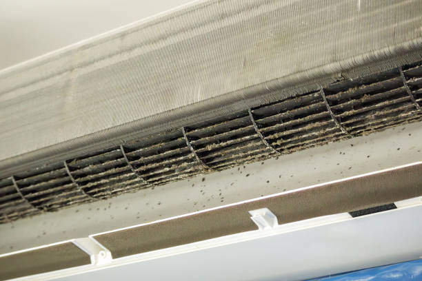 Best Commercial HVAC Duct Cleaning  in Storm Lake, IA