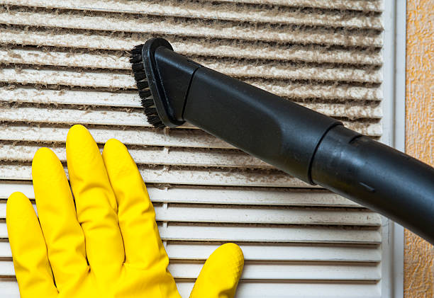 Best Air Duct Cleaning Company Near Me  in Storm Lake, IA